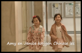 AmyJaniceChineseles