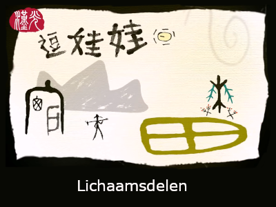 Lichaamsdelen